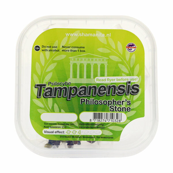 Tampanensis Magic Truffles ostmine