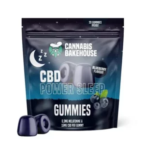 CBD + MELATONIN SLEEP GUMMIES (20PCS) kopen