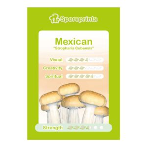 Mexický sportovní otisk