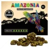 Psilocybe Amazonia Truffels 25 gram Kopen