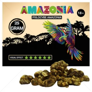 Psilocybe Amazonia Truffels 25 gram Kopen