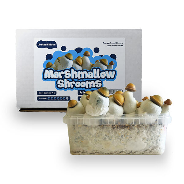 Marshmallow Shrooms Growkit - Kúpiť 1200 cm3